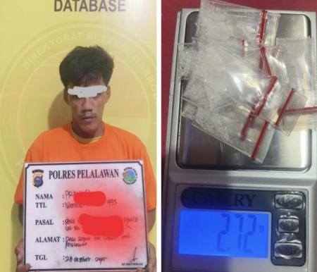 Opsnal Narkoba Polres Pelalawan Tangkap Pengedar Sabu 17 Paket
